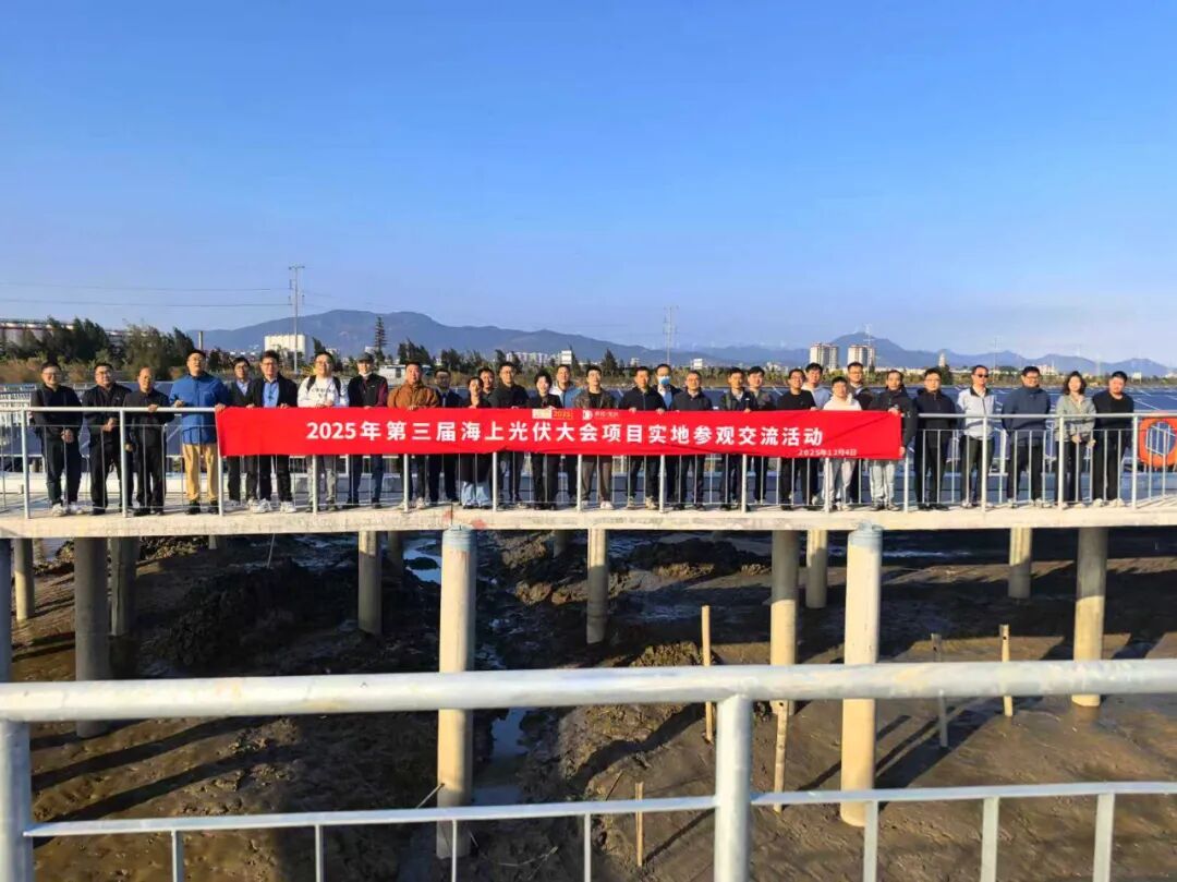 实地探访福建沿海滩涂项目 见证“渔光互补”标杆实践