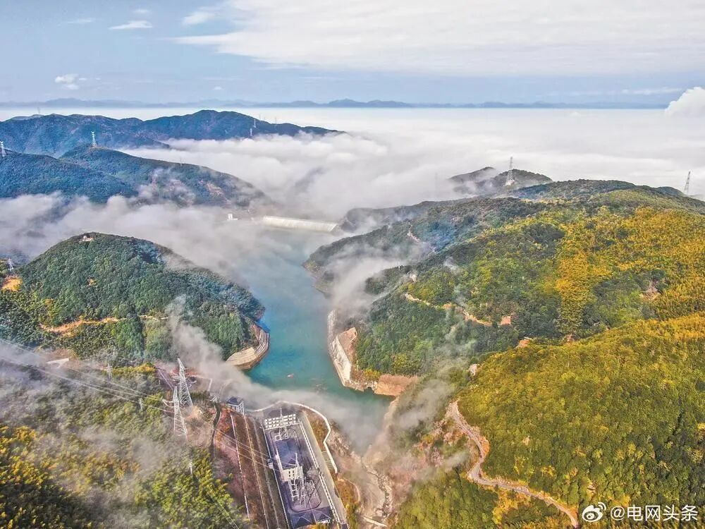 夏清：构建与国际碳排放规则接轨的全国统一电力市场体系