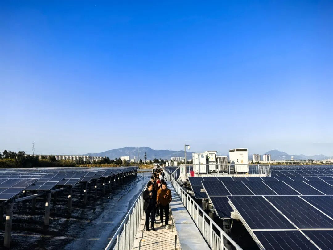 实地探访福建沿海滩涂项目 见证“渔光互补”标杆实践