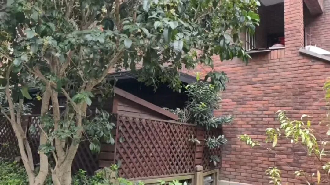 上海业主装光伏，遭小区居民强烈反对！