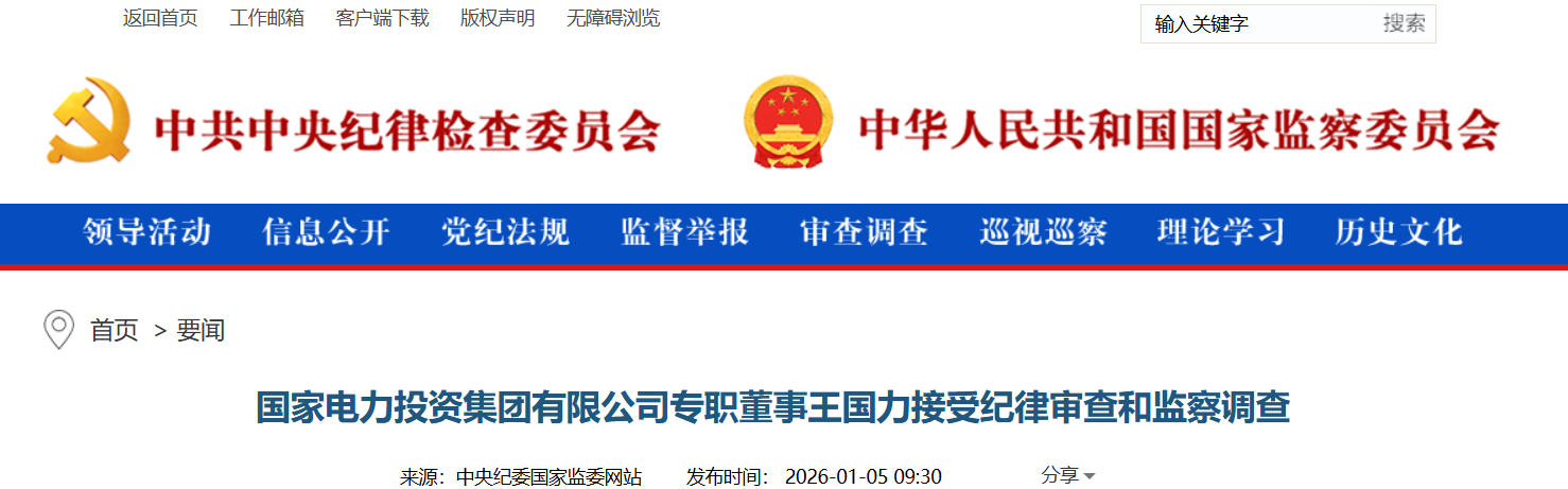 国家电投专职董事王国力被查