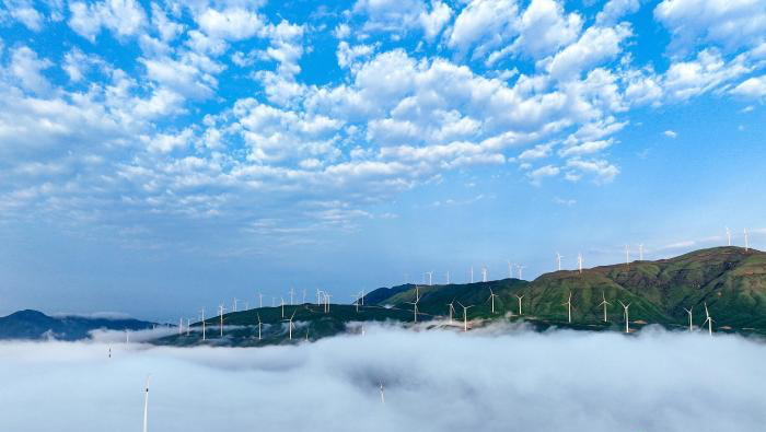 广西实现新能源现货交易报量报价地市全覆盖