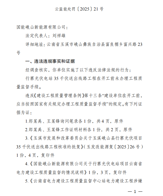 国能峨山新能源公司被处罚