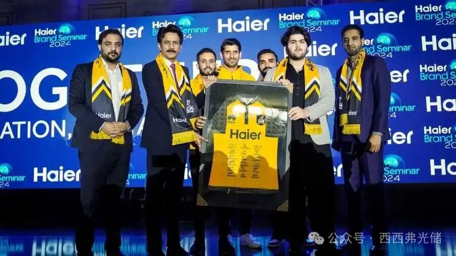 借光打球：中国光储大军为何“攻占”巴基斯坦板球场？