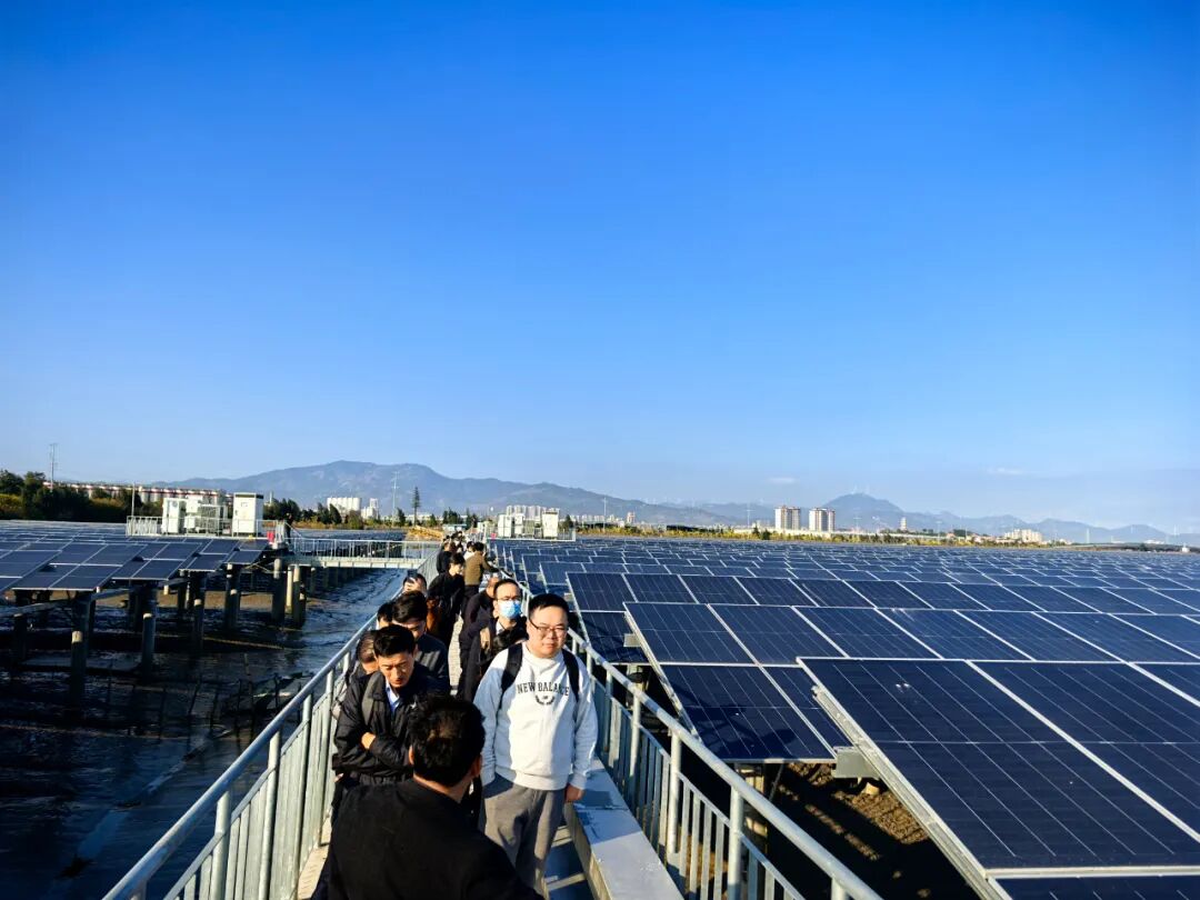 实地探访福建沿海滩涂项目 见证“渔光互补”标杆实践