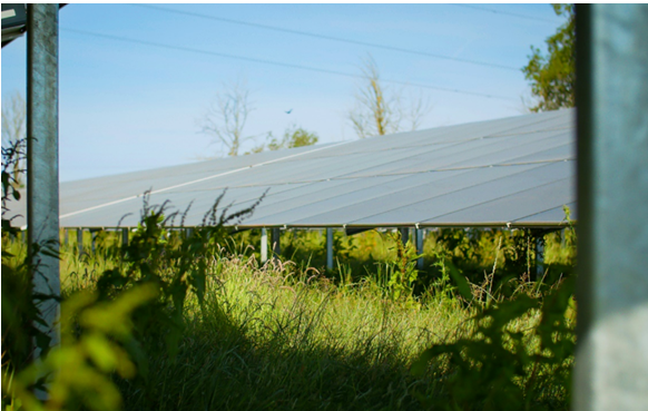 2025出海风云：中国光伏五虎海外突围的全球样本