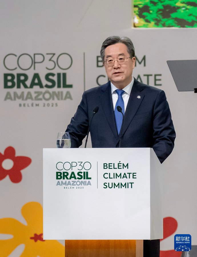 丁薛祥出席贝伦气候峰会并致辞（附发言全文）