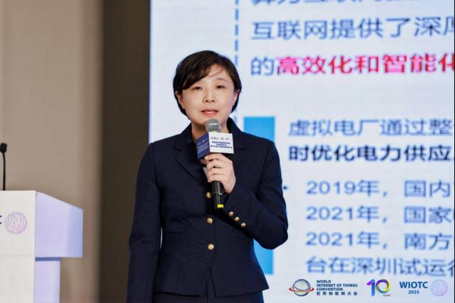 2025世界物联网大会智慧能源论坛召开 共探数字能源革命新路径