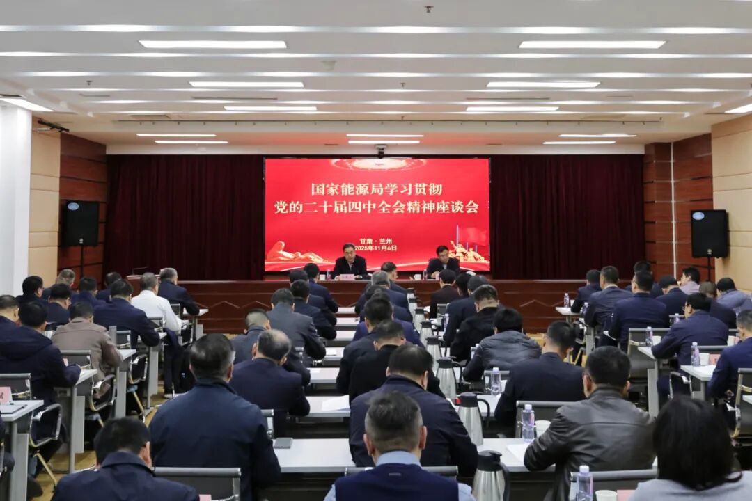 国家能源局召开学习贯彻党的二十届四中全会精神座谈会