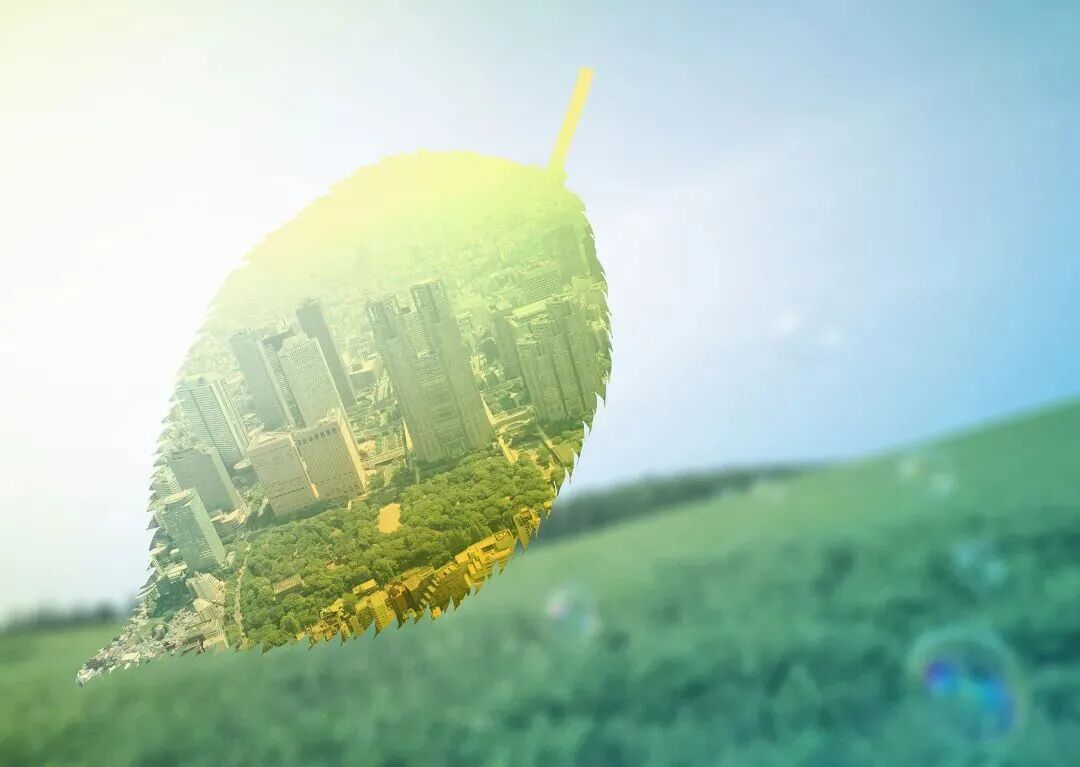 COP30重磅签约！中欧统一绿色钢铁标准，覆盖全球过半产量！