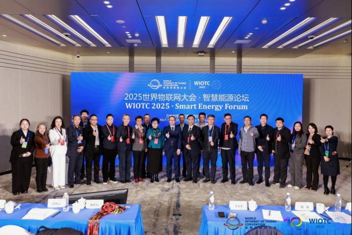 2025世界物联网大会·智慧能源论坛在北京成功召开 