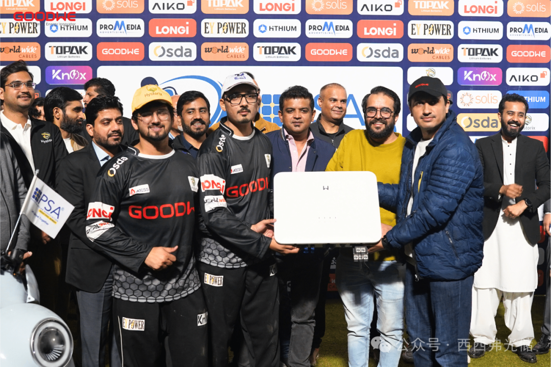 借光打球：中国光储大军为何“攻占”巴基斯坦板球场？