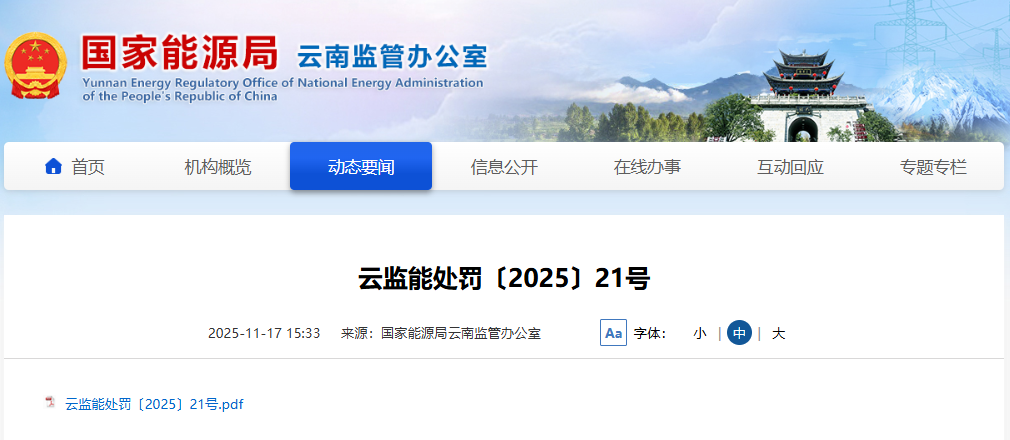 国能峨山新能源公司被处罚